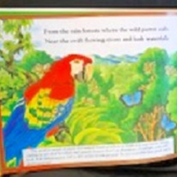 NEW This is Our Earth by Laura Lee Benson Hardcover - Picture 2 of 9